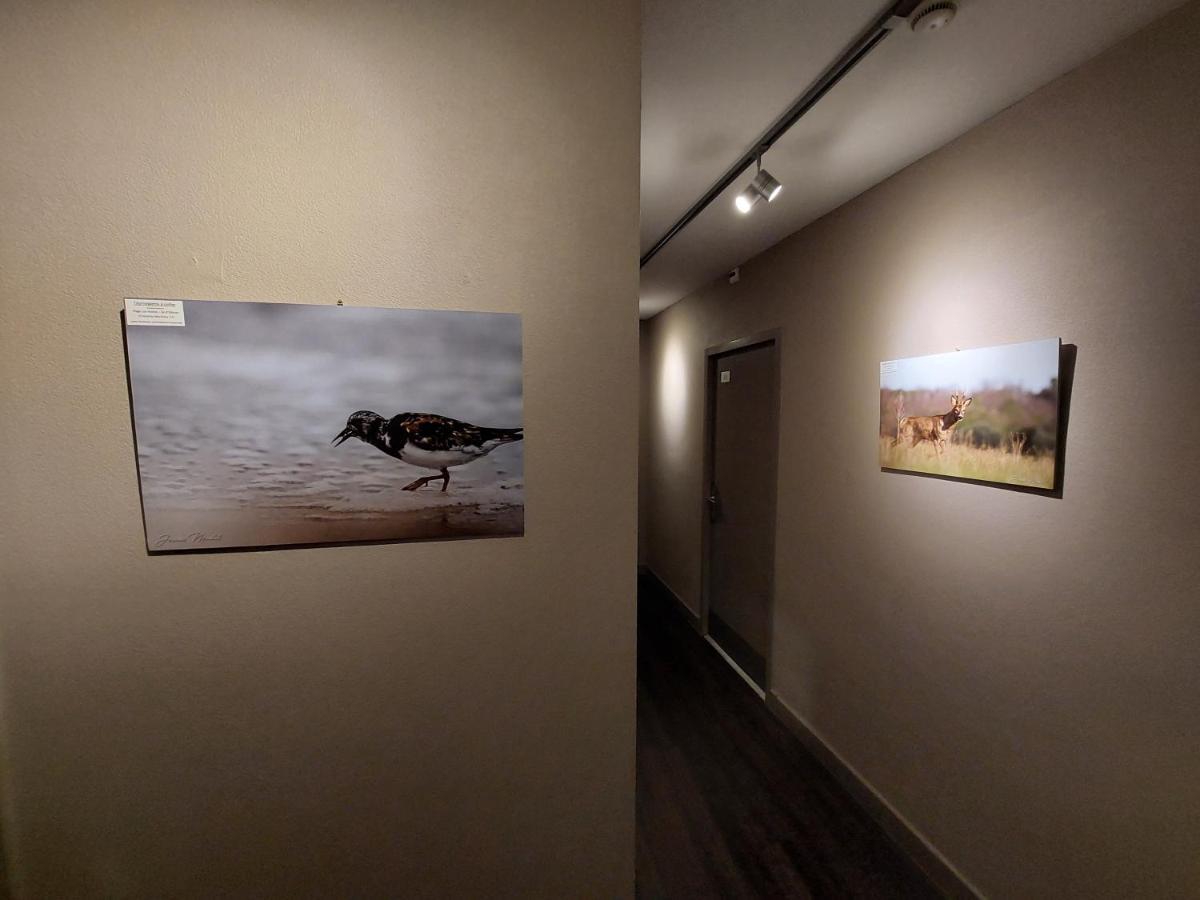 Logis Hotel - Les Pasteliers ลาวัวร์ ภายนอก รูปภาพ